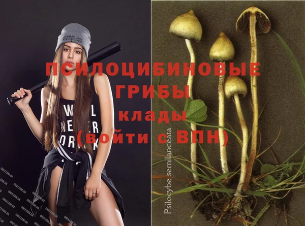 PSILOCYBIN Алексеевка