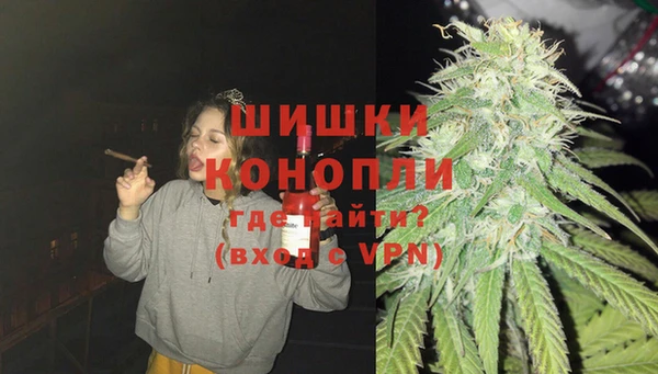 PSILOCYBIN Алексеевка